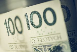 Polish Currency PLN Banknotes
